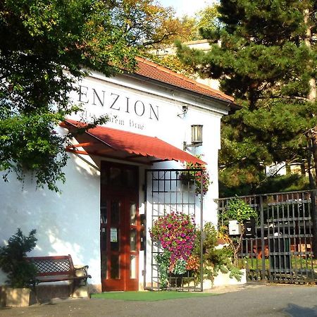 Penzion Na Starem Brne Brno Zewnętrze zdjęcie